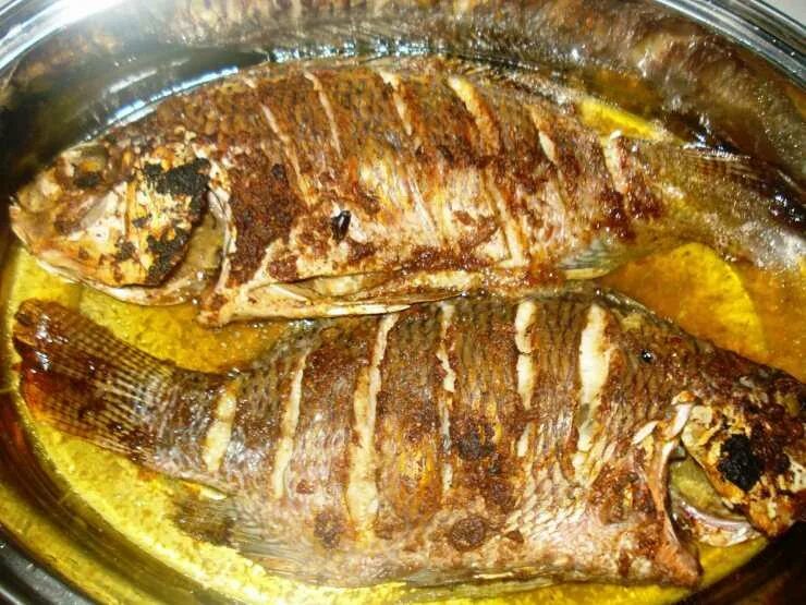 Сазан в духовке целиком. Сазан в духовке. Карп жареный в сметане. Карп с картошкой. Рыба с овощами в духовке.