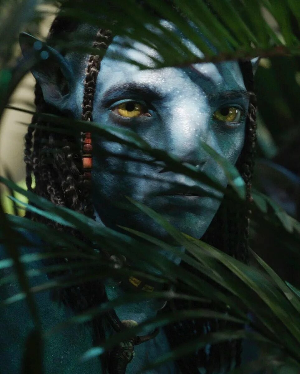 Аватар нейтири с луком. Аватар 2 дети. Аватар 2 обои. Джеймс кэмерон аватар 2. Аватар 2 ронал кейт уинслет.