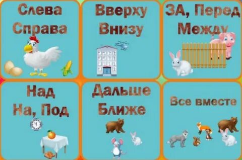 Досуха слева справа