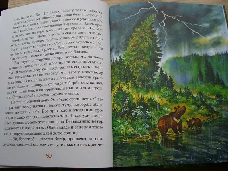 Мамин сибиряк о природе. Мамин Сибиряк природа. Лес в рассказах Мамина-Сибиряка. Мамин-Сибиряк произведения о природе. Природа в рассказах Мамина Сибиряка.