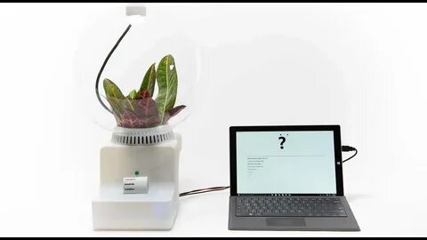 Plants talk