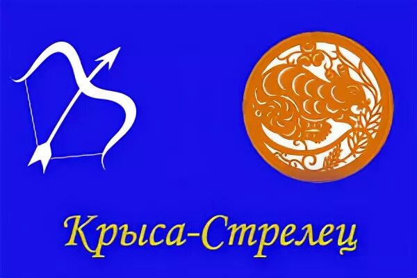 Гороскоп 2024 крыса стрелец