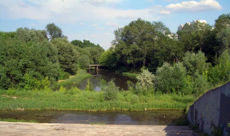 река городня в москве
