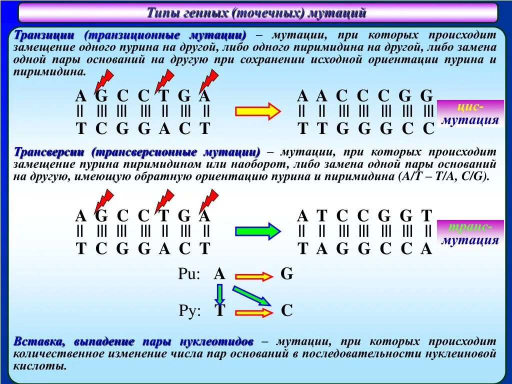 Транскрипция мутация. Типы мутации ДНК. Типы нуклеотидов. Схема изображения генной мутации. Выпадение нуклеотида вид мутации.