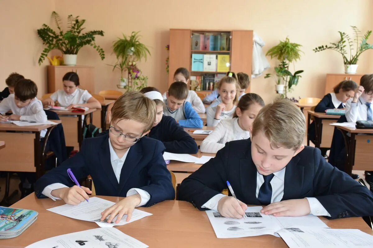 Впр 7 класс ученику. Класс с учениками. ученики в школе. школьники в классе. школьники на контрольной.