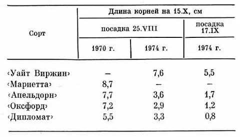 Таблица корневой системы