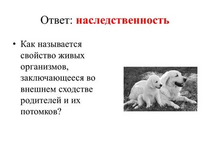 Сумма генов полученная от родителей