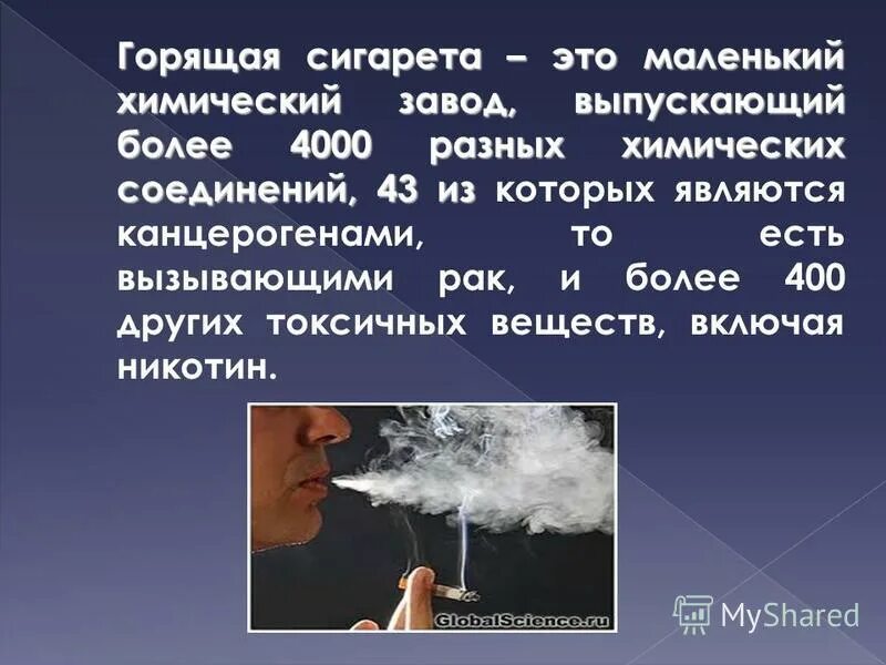 фильтр сгоревшей сигареты. сигареты горящие. сигарета тлеет. сколько горит сигарета. горящая сигарета.