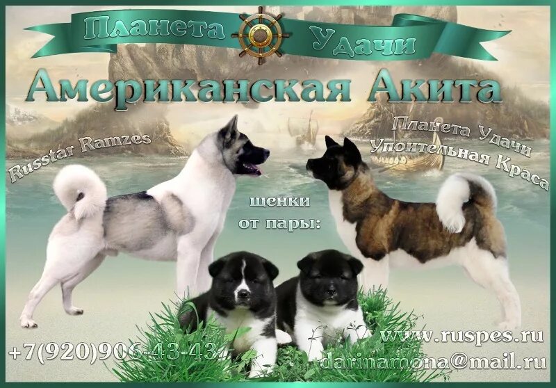 Название питомника. Названия собачьих питомников. реклама питомника. американские названия питомников. реклама питомника собак.