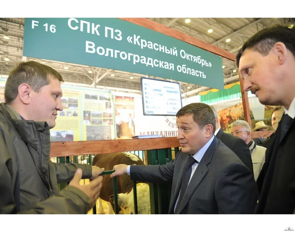 Ооо спк-магистраль. Полет-агро ступино. Волгоградский спк. Выставка овец 2022 в волгограде. Спк тепличный помещения.