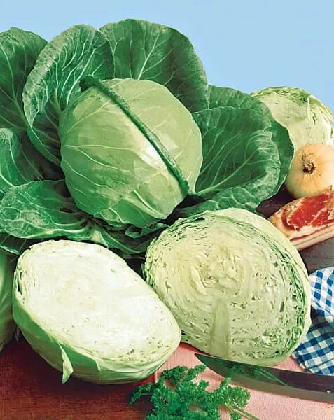 525 руб. Капуста Июньская. 100 грамм. Satimex. Средне-ранний сорт белокочанной к