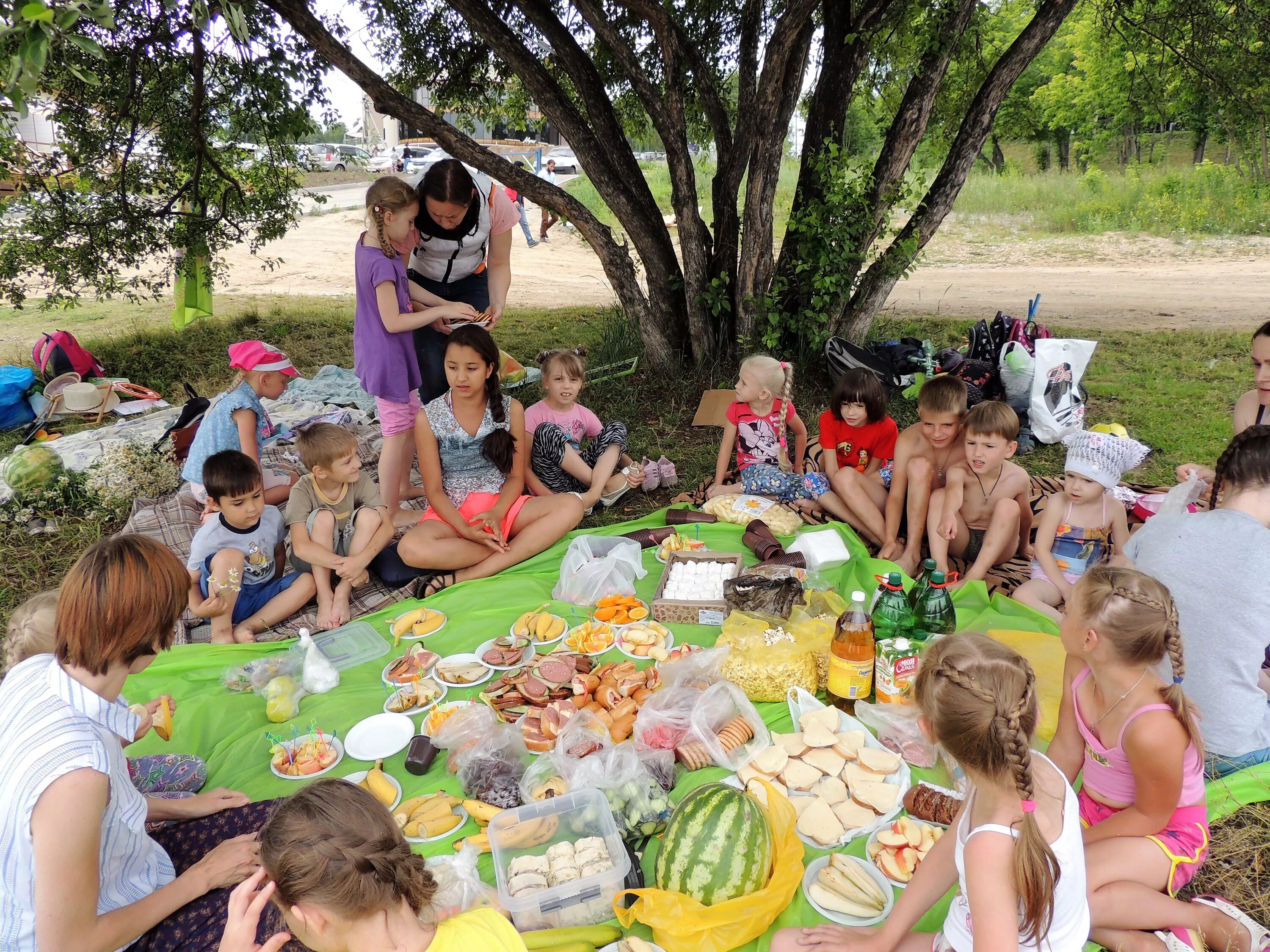 пикник с друзьями на природе. пикник большой. пикник большой. большой пикник. летние поделки пикник.