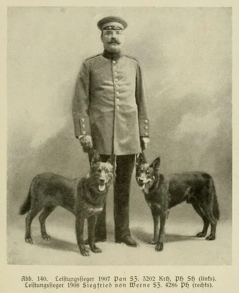 Vefi von der Burghalde