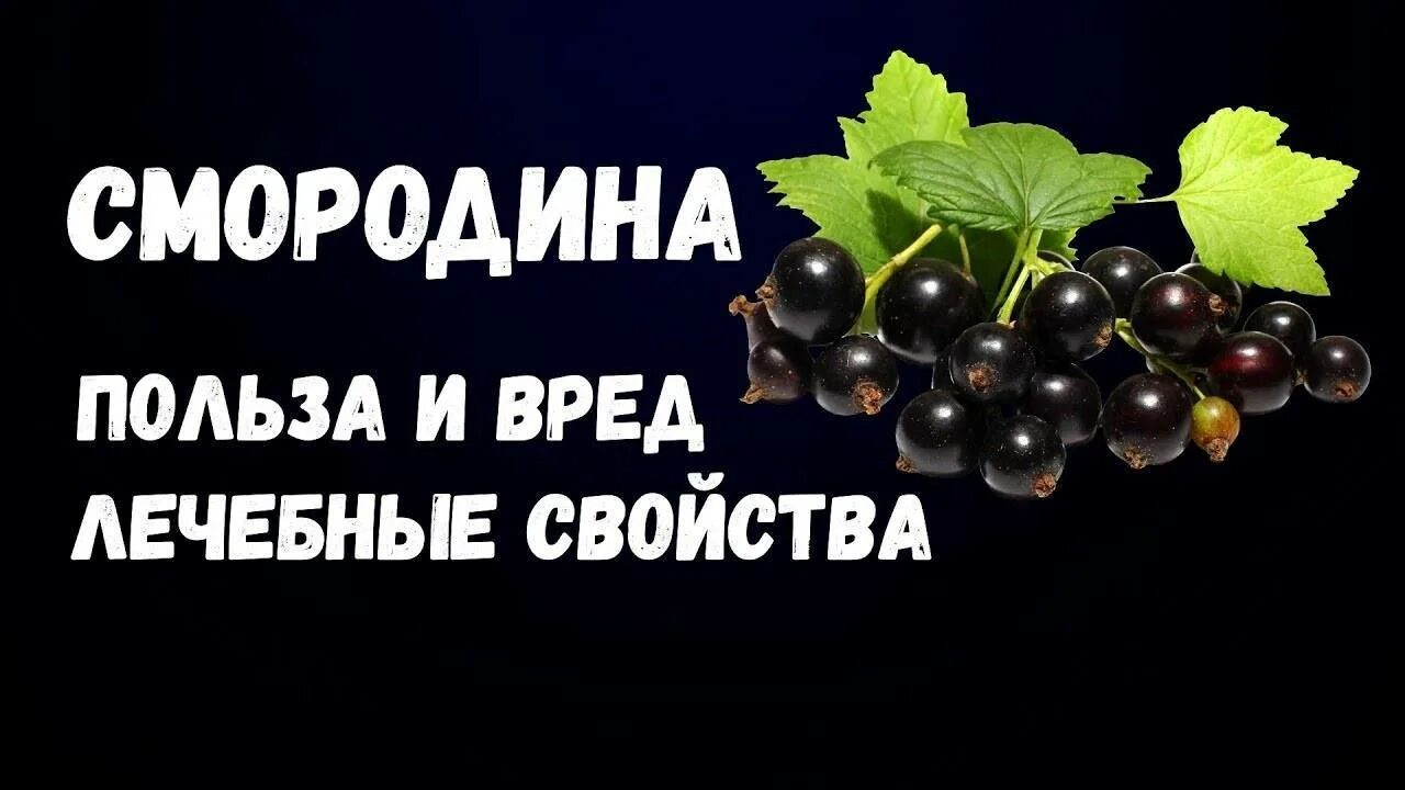 Лист смородины вред