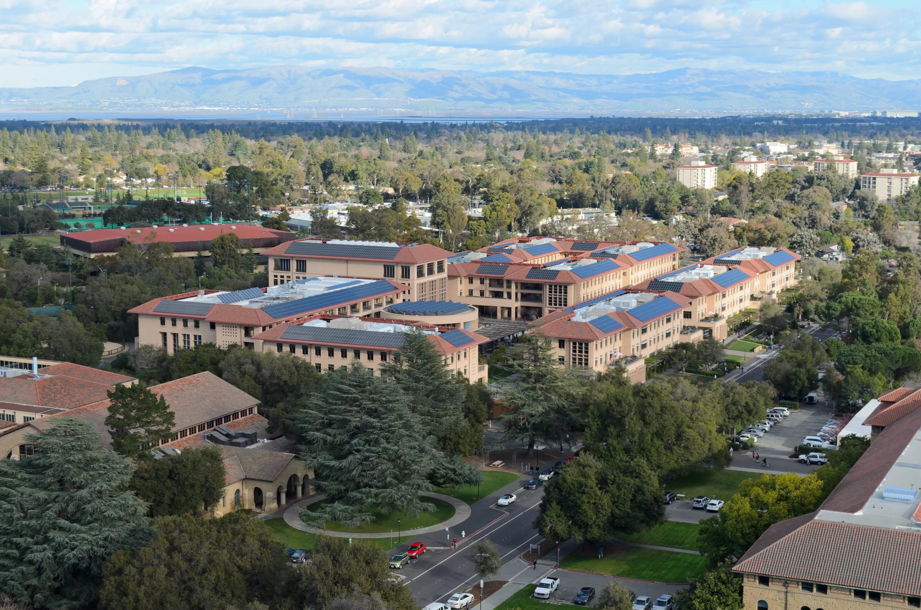 Stanford school