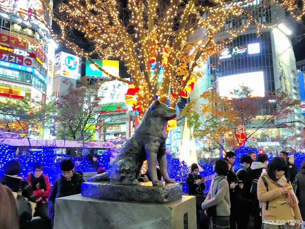 Karl tokyo shibuya. Сибуя Токио. Район Сибуя в Японии. Район Шибуя Токио. Сибуя Токио Хатико.