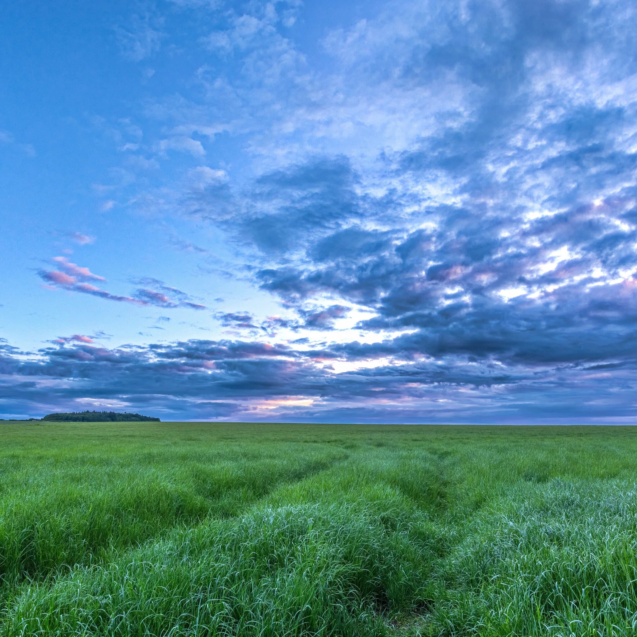 красивое небо. облака. знойное небо. закат в степи. рязань поля.