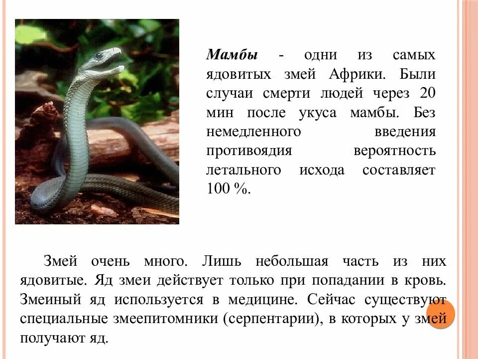 Про самого ядовитого