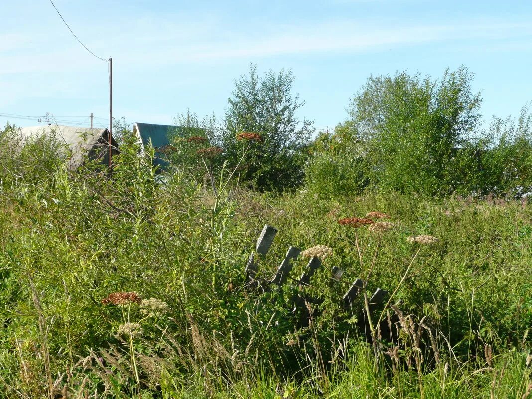 безлюдный участок земли. заброшенный участок. база заброшенных участков. заброшенная земля. заброшенный земельный участок.