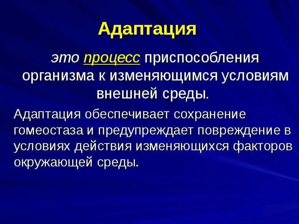 Адаптация. Адаптация организмов к внешней среде. Процесс адаптации. Адаптация это процесс приспособления.