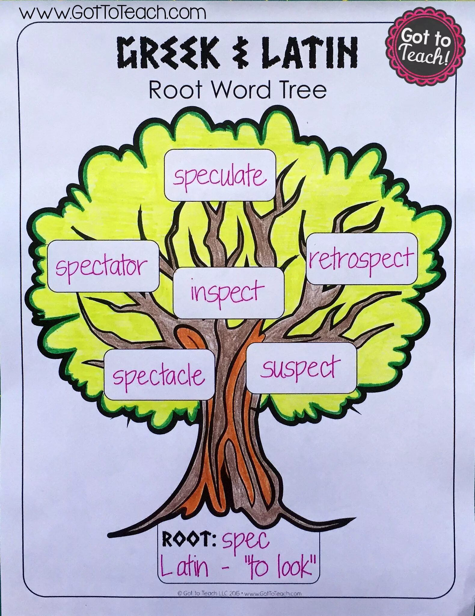 Tree words. Tree Word. Root Words. Trees Vocabulary. Vocabulary Tree Designing Word Trees and spidergrams ответы.