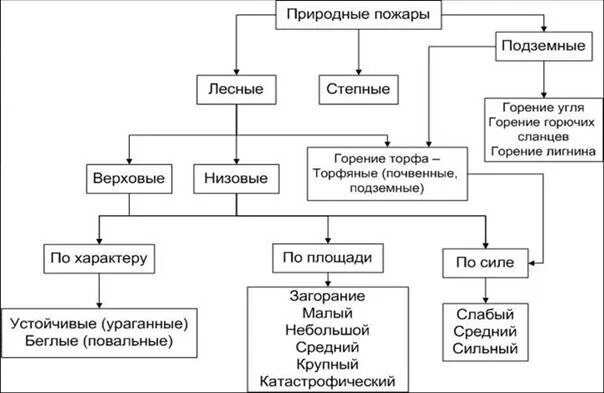 Классификация лесных пожаров. Классификация лесных пожаров схема. Классификация природных пожаров таблица. Классификация природных пожаров по характеру горения таблица.