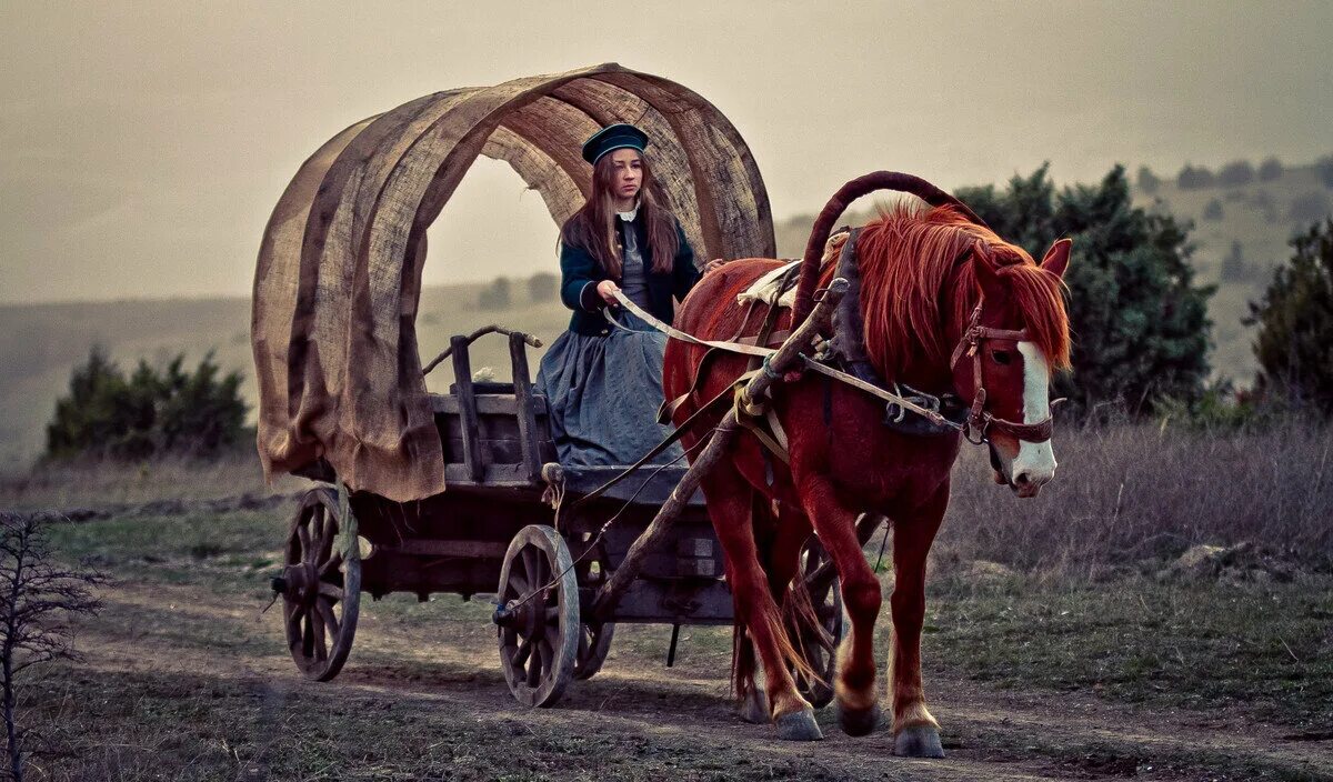 Подруга телега. Девушка в повозке. Фотосессия с повозкой. Телега с вещами.