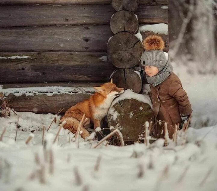 Где тепло там и добро. Счастья на весь день картинки зима животные и дети. Одноклассники лисов