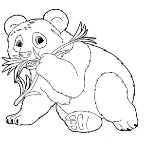 Panda Coloring Pages 100 Pictures Free Printable