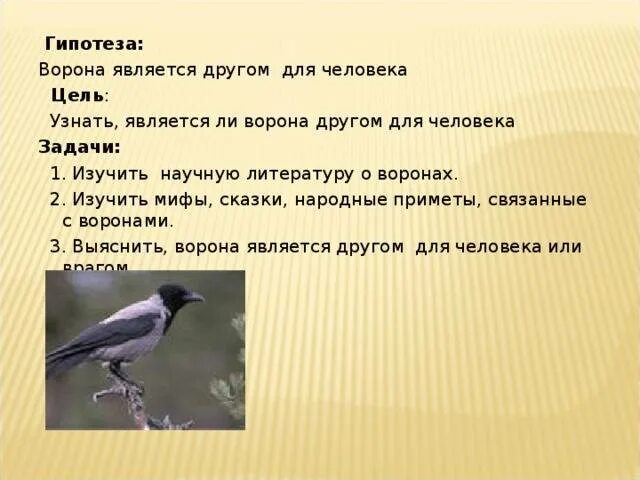 Ворон каркает примета. Приметы про ворон. Народные приметы про ворон. Народные приметы о воронах. Почему вороны каркают ночью