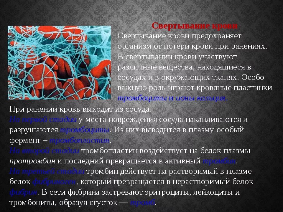 Фермент тромбоцитов. Участвует в свертывании крови. Свертывание крови в организме. Ферменты свертывания крови.