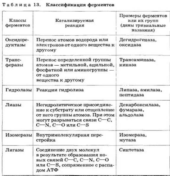 Типы реакций катализируемых ферментами. Классификация и номенклатура ферментов. Ферменты номенклатура классификация ферментов. Рациональная номенклатура ферментов. Классификация и номенклатура ферментов. Примеры реакций.