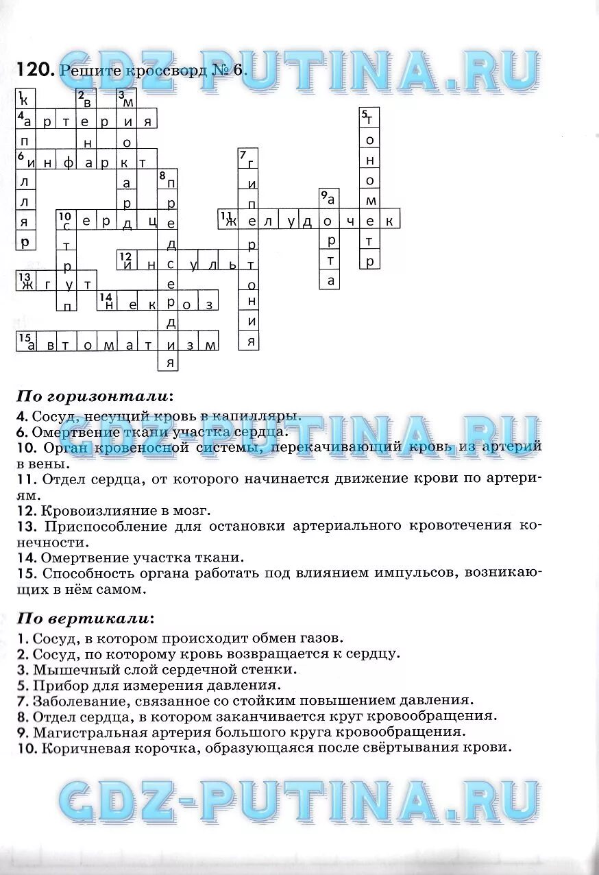 Кроссворд на тему органы кровообращения с ответами. Кроссворд медицина. Кроссворд по теме кровеносная система. Кроссворд на тему кровеносная и лимфатическая система. Кроссворд по биологии тема дыхательная система 8 класс.