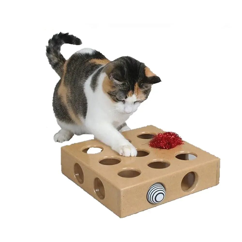 Игрушки для котов. Игрушка кот. Игрушка «котенок». Развивающие игрушки для кошек. Поставь toy