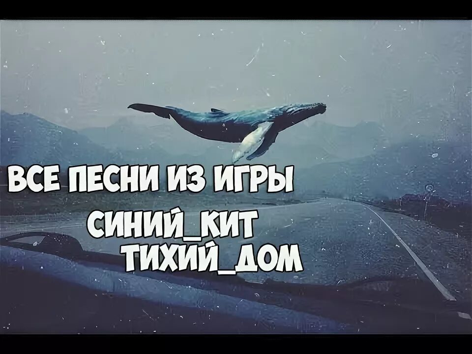 Кит поет. "песни китов". Медитация китов. Включи песни китов. Песни китов.