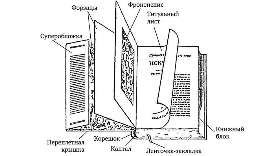 Книга как ее сделать. Структура и основные элементы книги. Анатомия книги из чего состоит книга. Из чего состоит структура книги. Схема строения книги.