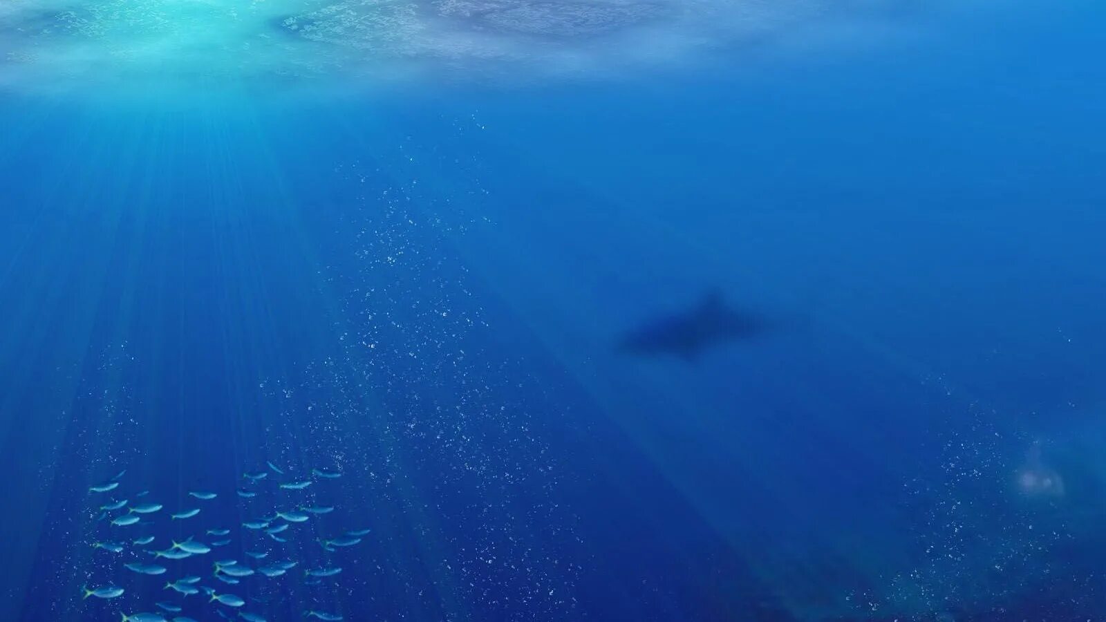 Толща воды в океане. Кит 52 Герца. Океан под водой. Морские глубины. Океаны. Глубина.