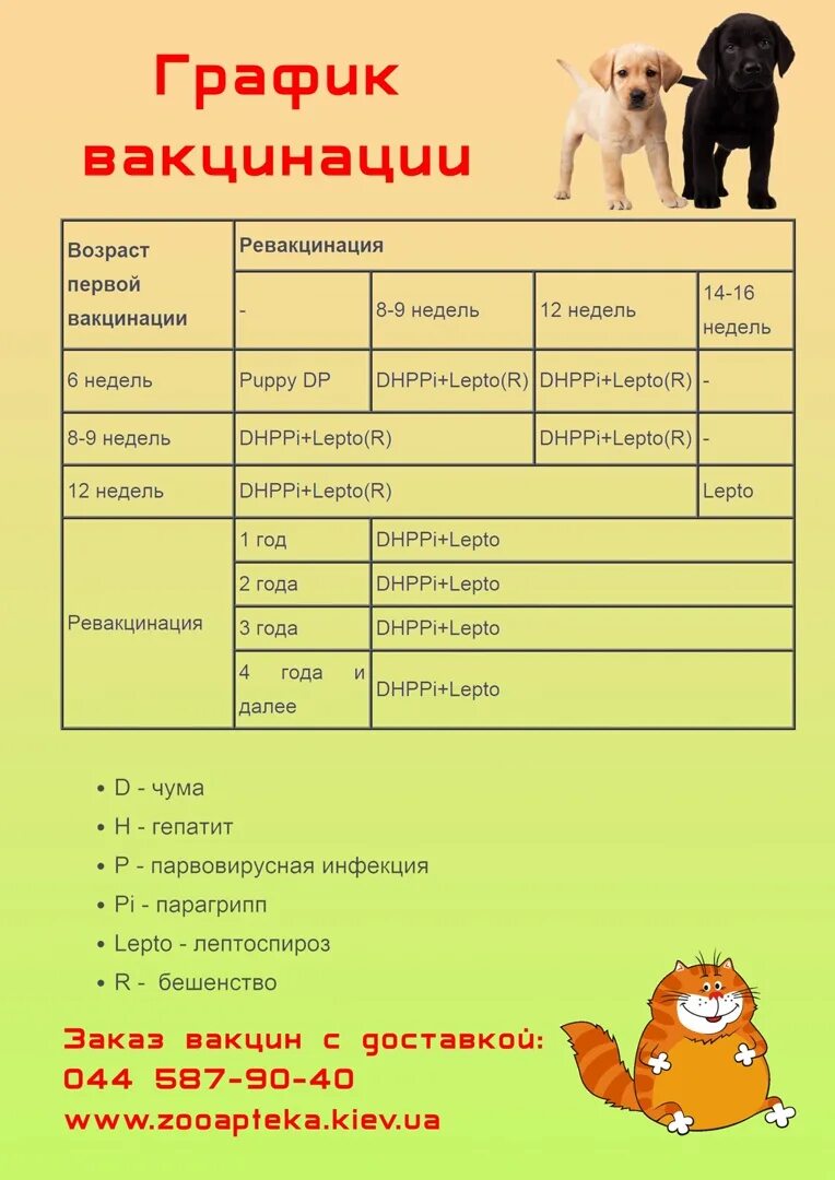 Какие прививки надо делать собаке в 2 года. Календарь прививок для щенков. Прививки у собак график прививок по возрасту таблица. Календарь прививок для собак.