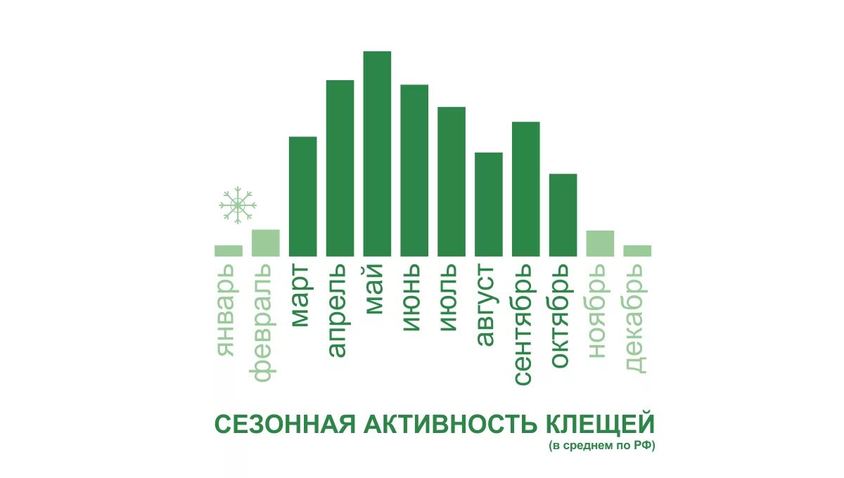 Активность клещей по месяцам. Сезонность клещевого энцефалита. График активности клещей. Пик активности клещей по месяцам. Период активности клещей в Подмосковье по месяцам.