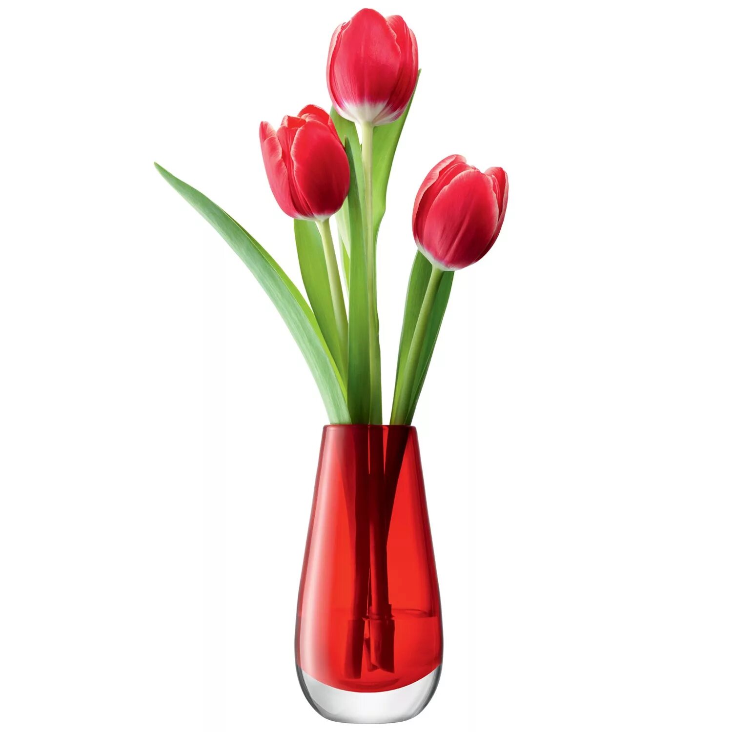 Сколько стоит три тюльпана. Вазы для тюльпанов. Цветы в вазе. Тюльпаны в вазе. Ваза с тюльпанами.