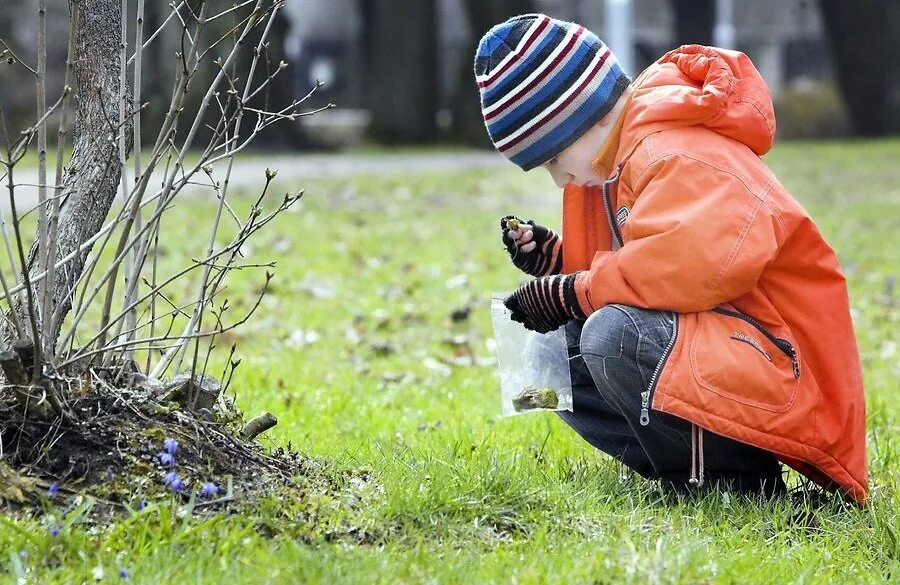 Дети наблюдают за природой. Ребенок познает природу. Наблюдение детей. Изучение природы.