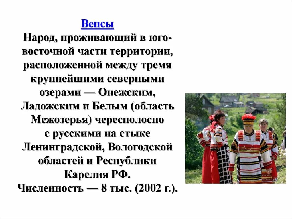 Где жили карелы. Коренные народы Ленинградской области вепсы. Народности России вепсы. Вепсы народ традиции. Вепсы численность.