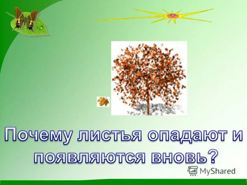 Проект по родному языку. Почему это так называется проект 2 класс. Проект для чего нужны знаки препинания. Что необходимо растению для жизни. Почему это так называется.