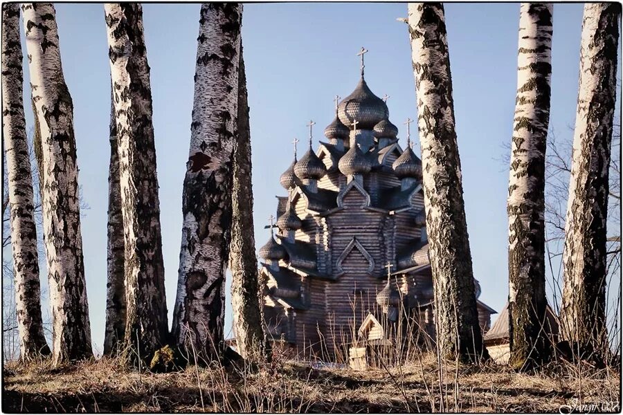 Русь церкви березы. Нижний Новгород храм с березами. Берёзы храм Русь. Берёзки Церковь Россия. Березовый храм