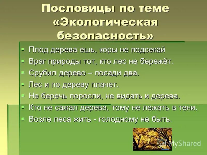 Пословицы о бережном. Пословицы о природе. Поговорки на экологическую тему. Пословицы и поговорки о природе. Пословицы на тему природа.