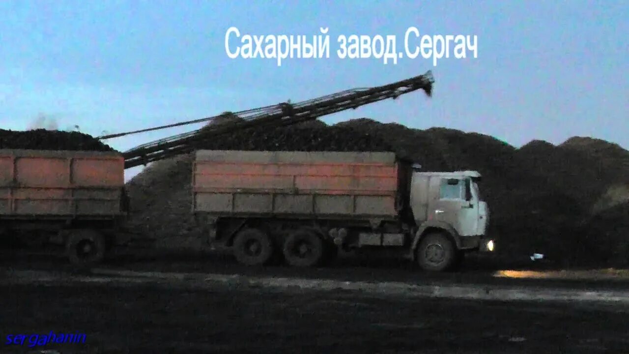 Сахарный завод в сергаче. Сахарный завод сергач. камаз сахарного завода. свекла уборка камаз в. камаз с свеклой сахарной.