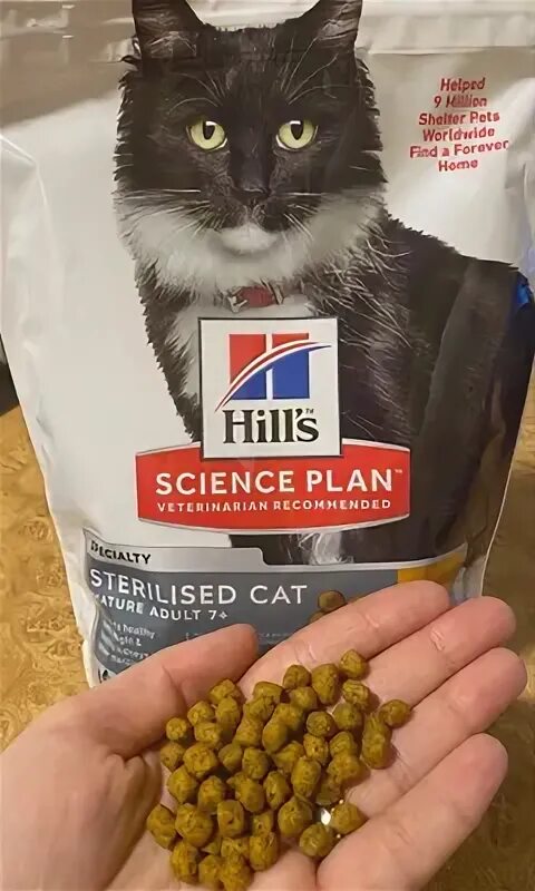 Сухой корм Hill's Science Plan для пожилых кошек, с курицей. Science Plan Sterilised Cat сухой корм для стерилизованных кошек старше 7 лет. Hills для стерилизованных с курицей 1,5 кг. Влажный корм Hill's Science Plan для взрослых стерилизованных кошек. Hills корм для кошек стерилизованных старше