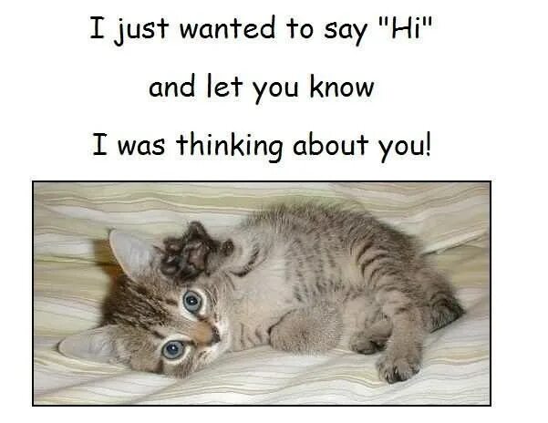 I just want to say