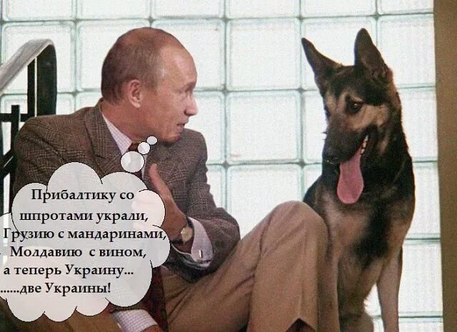 собака с милицией иван васильевич. собака с милицией обещали приехать. собака с милицией приходила. три портсигара отечественных куртка. собака с милицией обещала прийти мем.