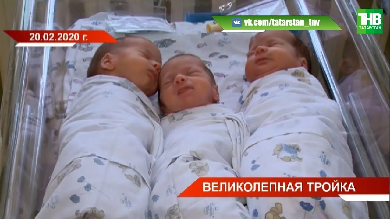 Ютуб канал тройняшки папа. Родились тройняшки в 2023 году. Белгород родились тройняшки.